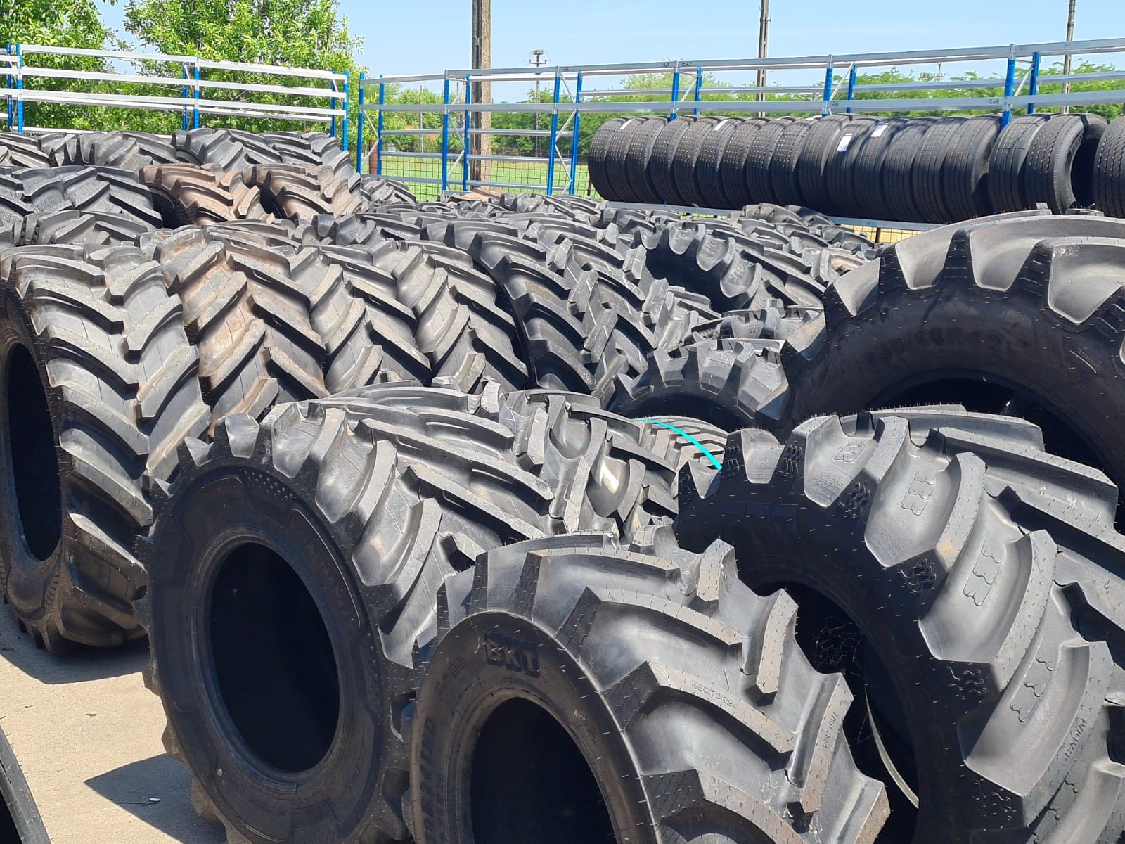 WhatsApp Image 2022-11-10 at 08.39.30 (1)