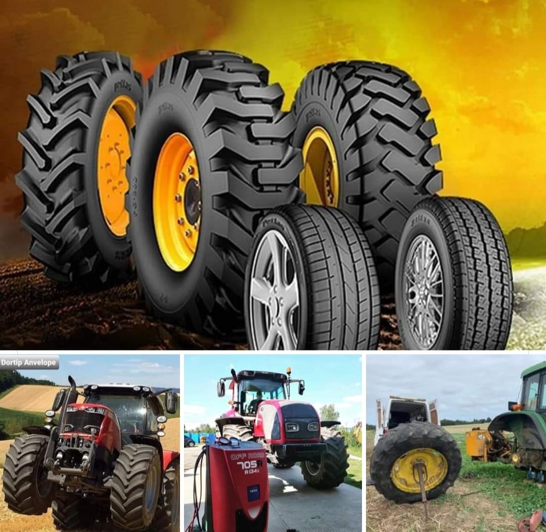 WhatsApp Image 2022-12-13 at 11.18.14 (2)